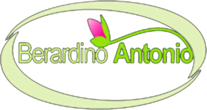 Logo Berardino